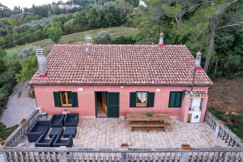 Landejendom i Rosignano Marittimo, Livorno, Rosignano Marittimo - € 470.000 | Ref: CS416 - foto 4