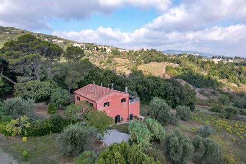 Landejendom i Rosignano Marittimo, Livorno, Rosignano Marittimo - € 470.000 | Ref: CS416 - foto 23