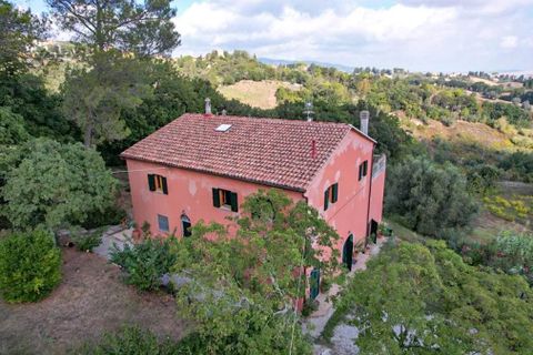 Landejendom i Rosignano Marittimo, Livorno, Rosignano Marittimo - € 470.000 | Ref: CS416 - foto 24