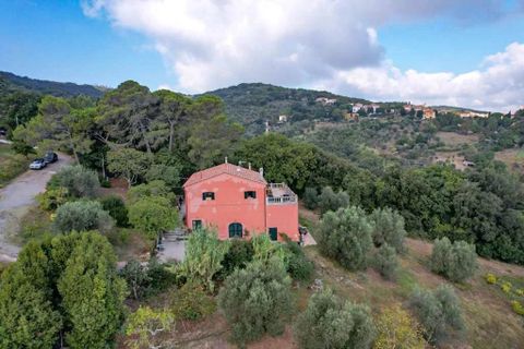 Landejendom i Rosignano Marittimo, Livorno, Rosignano Marittimo - € 470.000 | Ref: CS416 - foto 25
