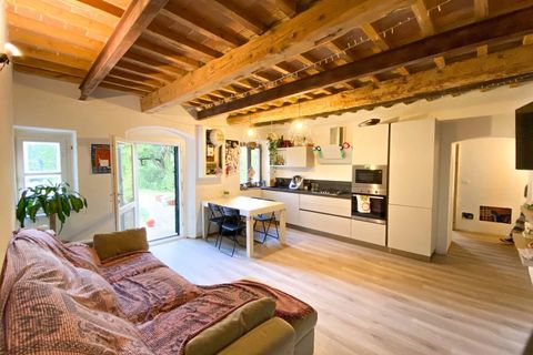 Landejendom i Rosignano Marittimo, Livorno, Rosignano Marittimo - € 470.000 | Ref: CS416 - foto 38