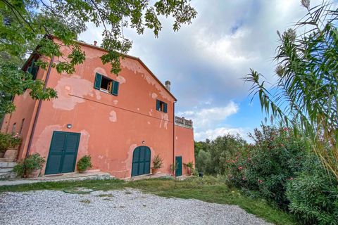 Landejendom i Rosignano Marittimo, Livorno, Rosignano Marittimo - € 470.000 | Ref: CS416 - foto 46