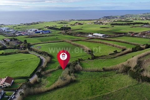 Terra a Horta, Faial, Horta - € 66.500 | Ref: 374250327 - foto 2
