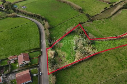 Terra a Horta, Faial, Horta - € 66.500 | Ref: 374250327 - foto 3