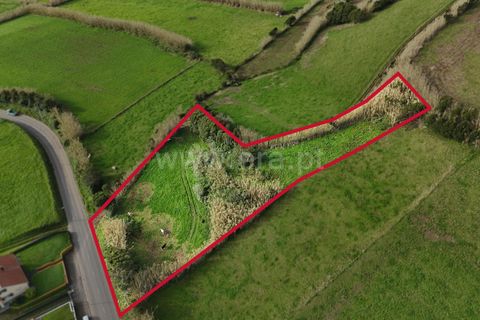 Terra a Horta, Faial, Horta - € 66.500 | Ref: 374250327 - foto 4