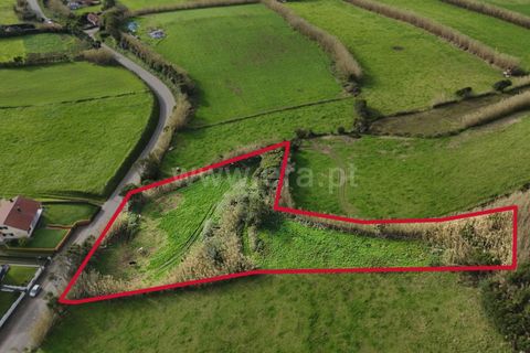 Terra a Horta, Faial, Horta - € 66.500 | Ref: 374250327 - foto 5