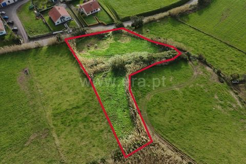 Terra a Horta, Faial, Horta - € 66.500 | Ref: 374250327 - foto 6
