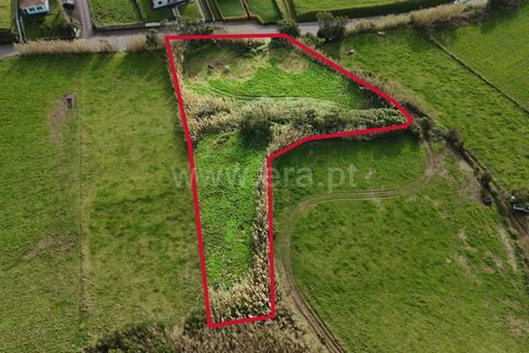 Terra a Horta, Faial, Horta - € 66.500 | Ref: 374250327 - foto 7