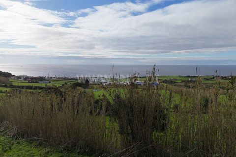 Terra a Horta, Faial, Horta - € 66.500 | Ref: 374250327 - foto 11