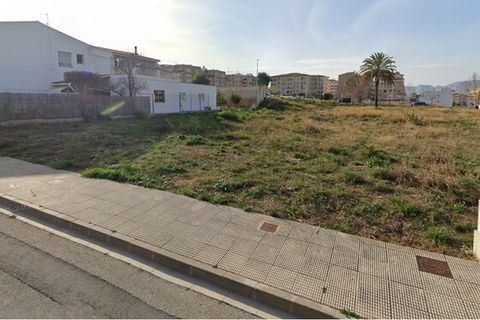 Terrain - Pedreguer, Alicante - photo 3