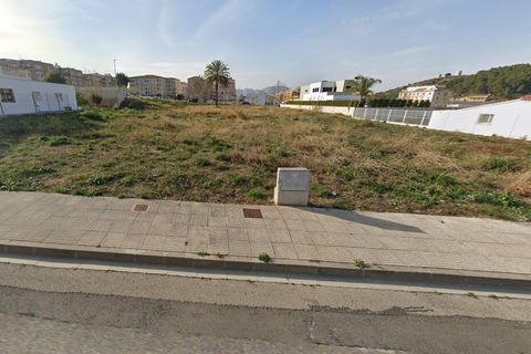 Terra a Pedreguer, Alicante - foto 3