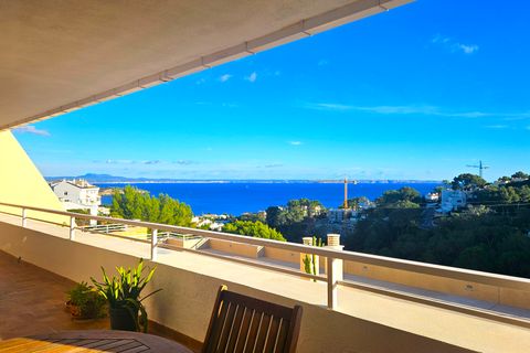 Lejlighed i Calvia, Mallorca, Calvia - € 1.650.000 | Ref: Top Investment - foto 15