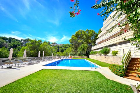 Lejlighed i Calvia, Mallorca, Calvia - € 1.650.000 | Ref: Top Investment - foto 13