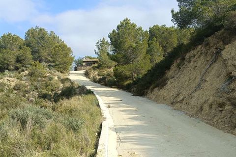 Finca i Gea Y Truyols, Murcia - foto 4
