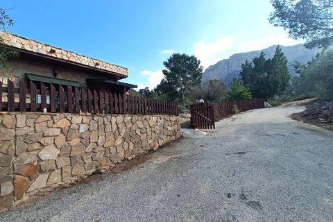 Finca i Gea Y Truyols, Murcia - foto 5
