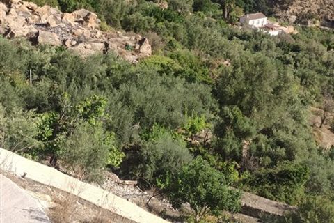Tomt i Izbor, Granada, Izbor - € 31 000 | Ref: 274 - foto 10