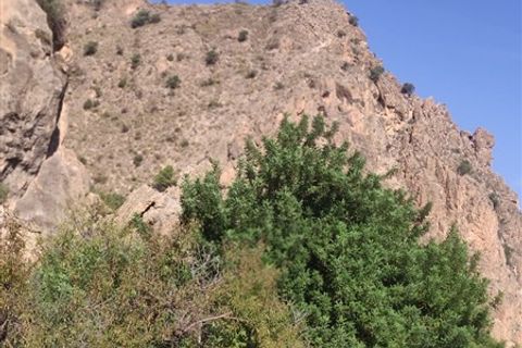 Tomt i Izbor, Granada, Izbor - € 31 000 | Ref: 274 - foto 14