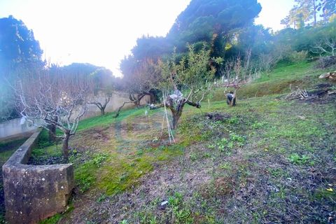 Villa i A dos Cunhados e Maceira, Lisbon, A dos Cunhados e Maceira - € 440.000 | Ref: CAS_228 - foto 27