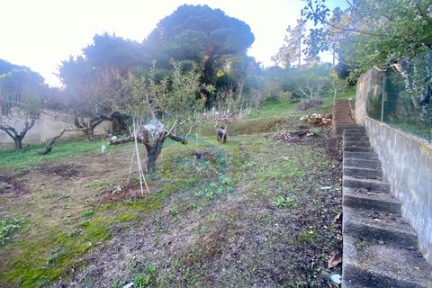 Villa i A dos Cunhados e Maceira, Lisbon, A dos Cunhados e Maceira - € 440.000 | Ref: CAS_228 - foto 28