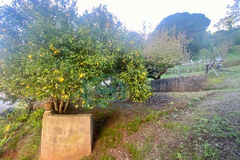 Villa i A dos Cunhados e Maceira, Lisbon, A dos Cunhados e Maceira - € 440.000 | Ref: CAS_228 - foto 30