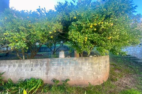 Villa i A dos Cunhados e Maceira, Lisbon, A dos Cunhados e Maceira - € 440.000 | Ref: CAS_228 - foto 31