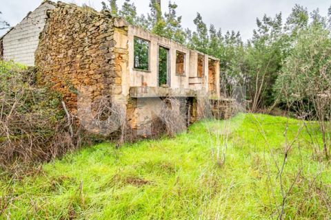 Terra a Barco e Coutada, Castelo Branco, Barco e Coutada - € 35.000 | Ref: UNU.i.2192.12348 - foto 2
