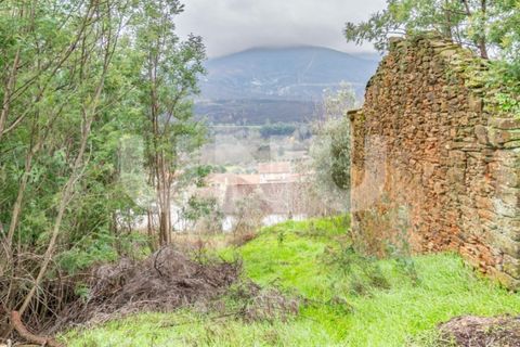 Terra a Barco e Coutada, Castelo Branco, Barco e Coutada - € 35.000 | Ref: UNU.i.2192.12348 - foto 3
