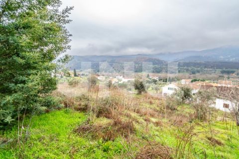 Terra a Barco e Coutada, Castelo Branco, Barco e Coutada - € 35.000 | Ref: UNU.i.2192.12348 - foto 4