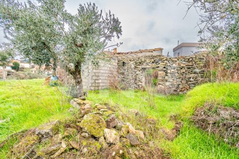 Terra a Barco e Coutada, Castelo Branco, Barco e Coutada - € 35.000 | Ref: UNU.i.2192.12348 - foto 5