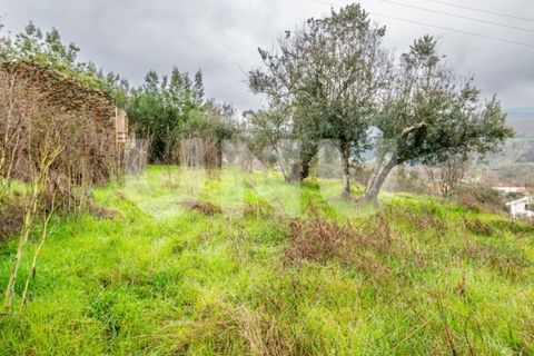 Terra a Barco e Coutada, Castelo Branco, Barco e Coutada - € 35.000 | Ref: UNU.i.2192.12348 - foto 6