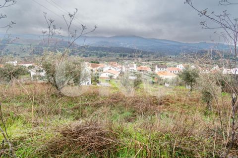 Terra a Barco e Coutada, Castelo Branco, Barco e Coutada - € 35.000 | Ref: UNU.i.2192.12348 - foto 9