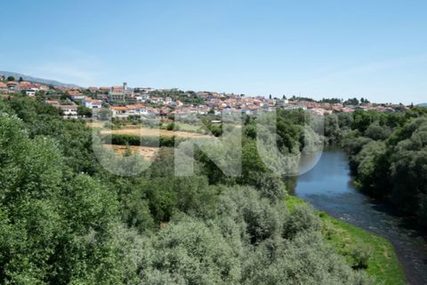 Terra a Barco e Coutada, Castelo Branco, Barco e Coutada - € 35.000 | Ref: UNU.i.2192.12348 - foto 13
