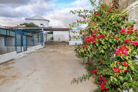 Villa i Evora, Evora, Evora - € 299.000 | Ref: C0185-03229 - foto 28