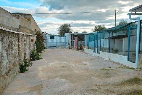 Villa i Evora, Evora, Evora - € 299.000 | Ref: C0185-03229 - foto 30