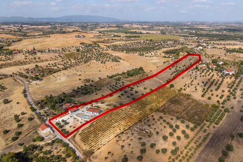 Granja a Casevel e Vaqueiros, Santarem, Casevel e Vaqueiros - € 675.000 | Ref: SF-SAFTI:002856 - foto 25
