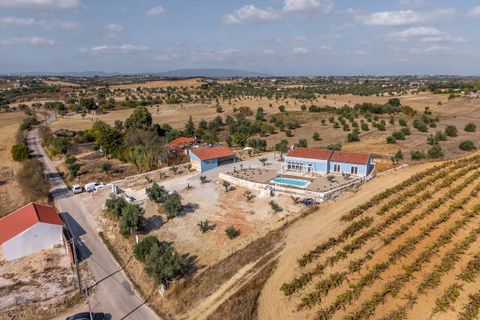 Granja a Casevel e Vaqueiros, Santarem, Casevel e Vaqueiros - € 675.000 | Ref: SF-SAFTI:002856 - foto 18