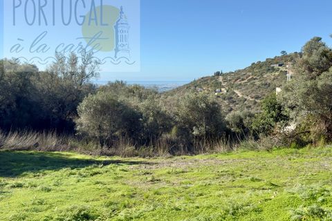 Helårsgrund i Estoi, Faro, Estoi - € 295.000 | Ref: PALC_193 - foto 2