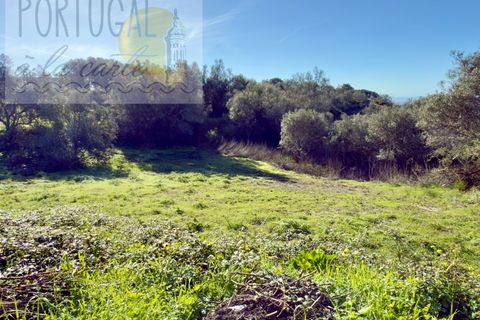 Helårsgrund i Estoi, Faro, Estoi - € 295.000 | Ref: PALC_193 - foto 7