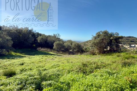 Helårsgrund i Estoi, Faro, Estoi - € 295.000 | Ref: PALC_193 - foto 8