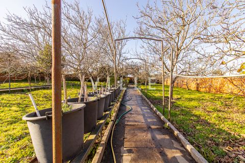 Haus in Aveiro, Aveiro, Aveiro - € 595.000 | Ref: AV2784 - Foto 20