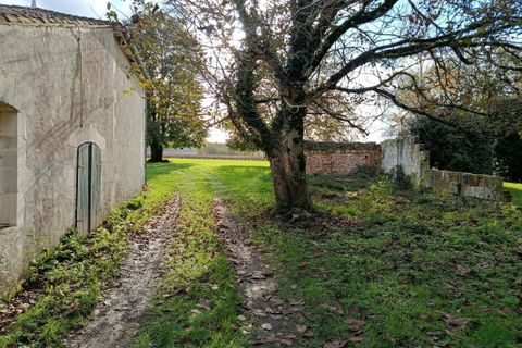 Landejendom i Consac, Charente-Maritime, Consac - € 189.000 | Ref: FS_4342 - foto 15