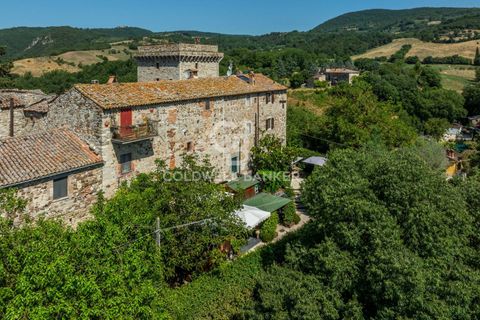 Landejendom i Todi, Perugia, Todi - € 395.000 | Ref: CBI134-2923-240 - foto 31
