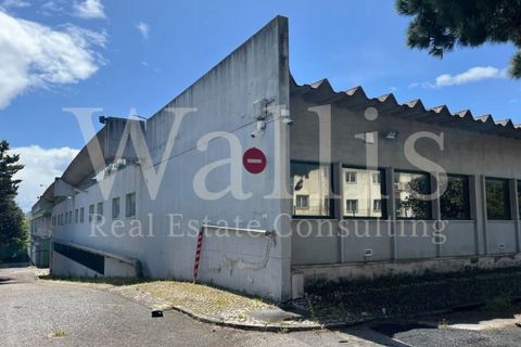 Erhvervsejendom i Carnaxide, Lisbon, Carnaxide - € 20.000.000 | Ref: W5174 - foto 2