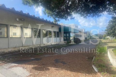 Erhvervsejendom i Carnaxide, Lisbon, Carnaxide - € 20.000.000 | Ref: W5174 - foto 3