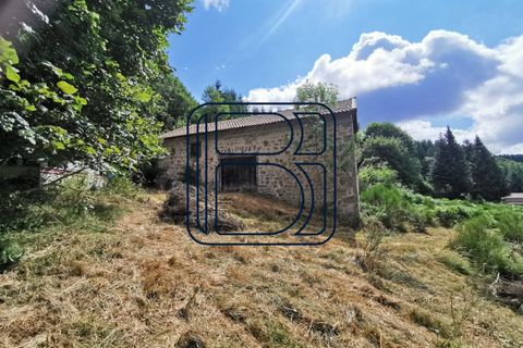 Farm i Ambert, Puy-de-Dome, Ambert - € 64.950 | Ref: 677-CIMMIMMO - foto 15