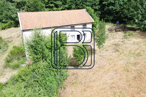 Farm i Ambert, Puy-de-Dome, Ambert - € 64.950 | Ref: 677-CIMMIMMO - foto 17