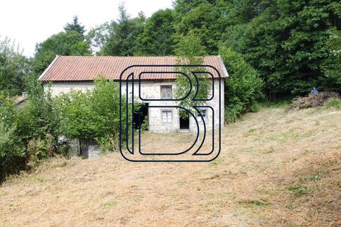 Farm i Ambert, Puy-de-Dome, Ambert - € 64.950 | Ref: 677-CIMMIMMO - foto 18