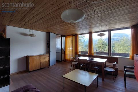 Villa a Borca di Cadore, Belluno, Borca di Cadore - € 385.000 | Ref: 778 - foto 2