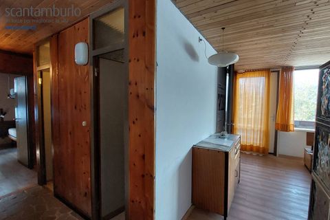 Villa a Borca di Cadore, Belluno, Borca di Cadore - € 385.000 | Ref: 778 - foto 7