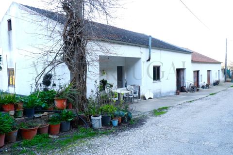 Farm i Odeceixe, Faro, Odeceixe - € 1.240.000 | Ref: MAS_653 - foto 2